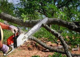 Best Utility Line Clearance  in Twinsburg, OH